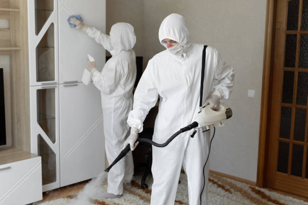 Best Attic Mold Remediation in Eustace, TX