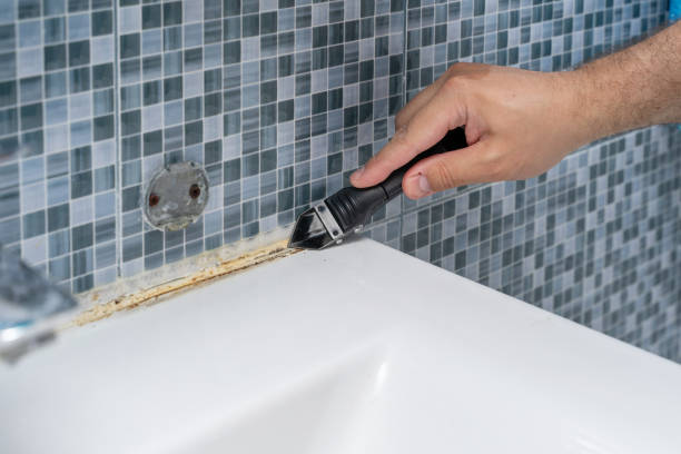 Best Post-Flood Mold Remediation in Eustace, TX