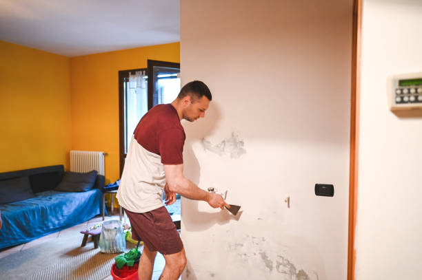 Eustace, TX Mold Remediation Company